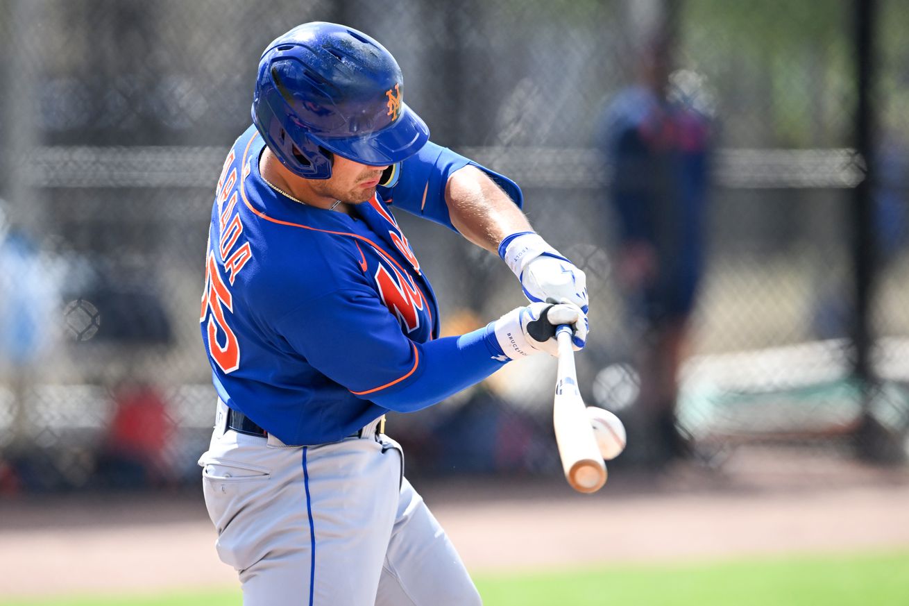 New York Mets v Houston Astros minor leaguers