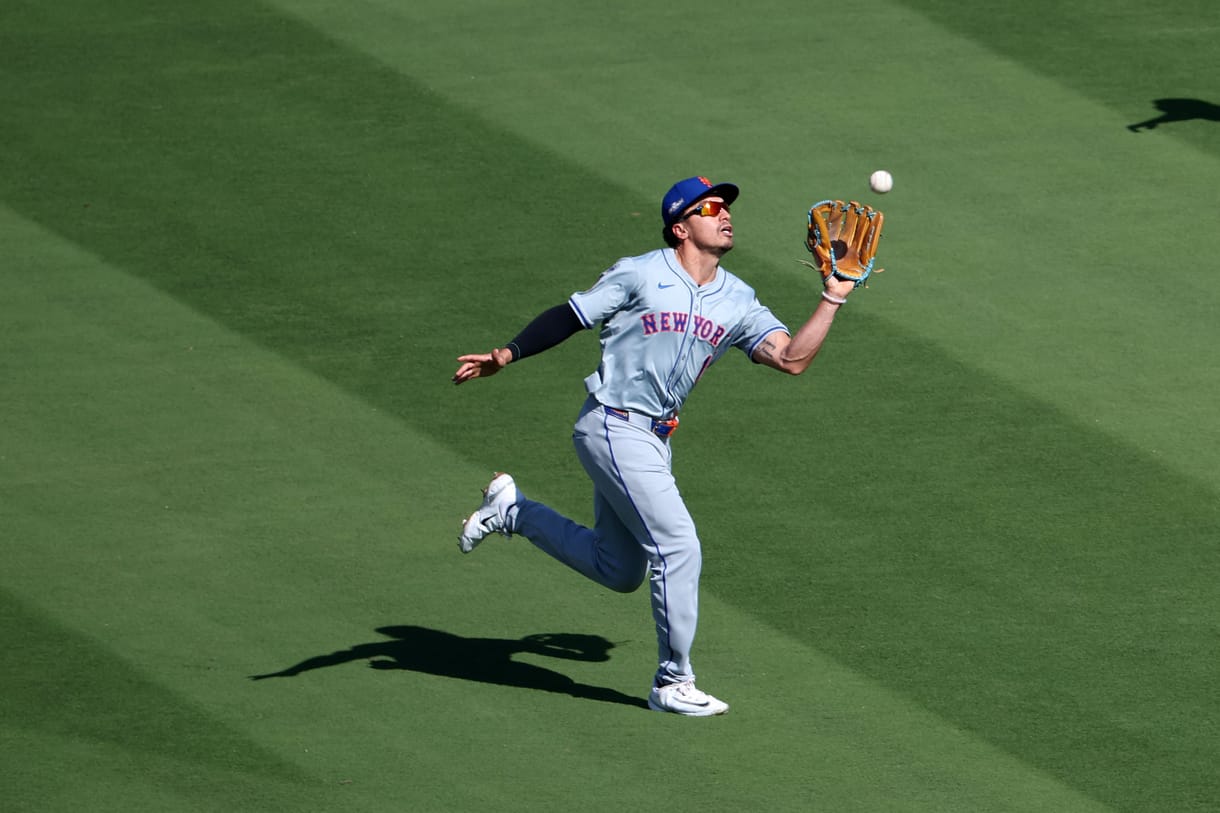 Tyrone Taylor, Mets