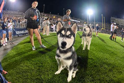 COLLEGE FOOTBALL: AUG 31 NC State at UConn