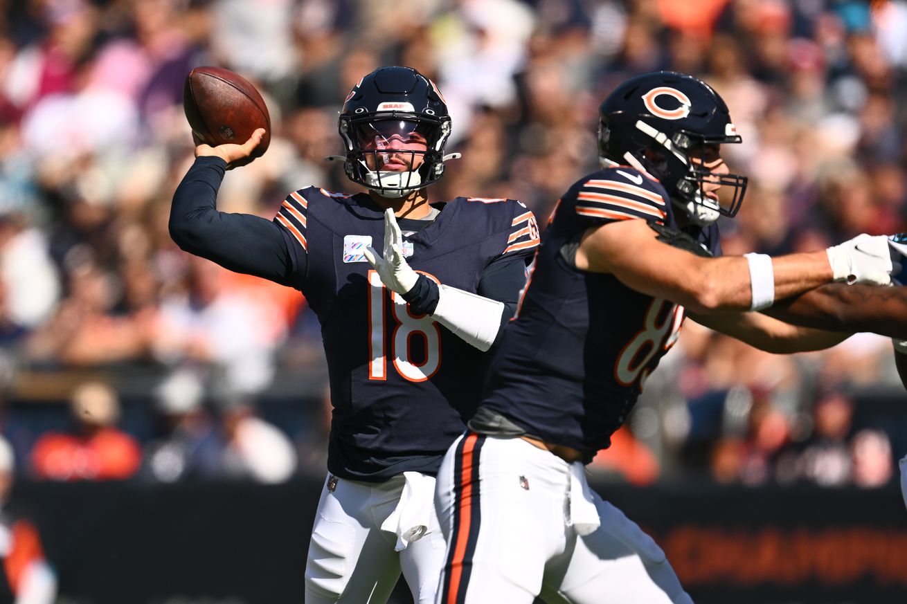 Carolina Panthers v Chicago Bears