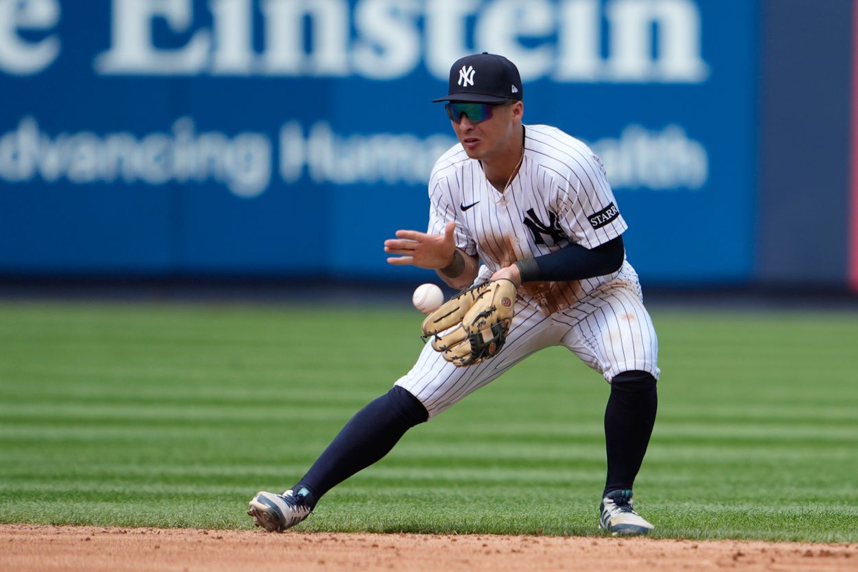 MLB: Chicago Cubs at New York Yankees, anthony volpe