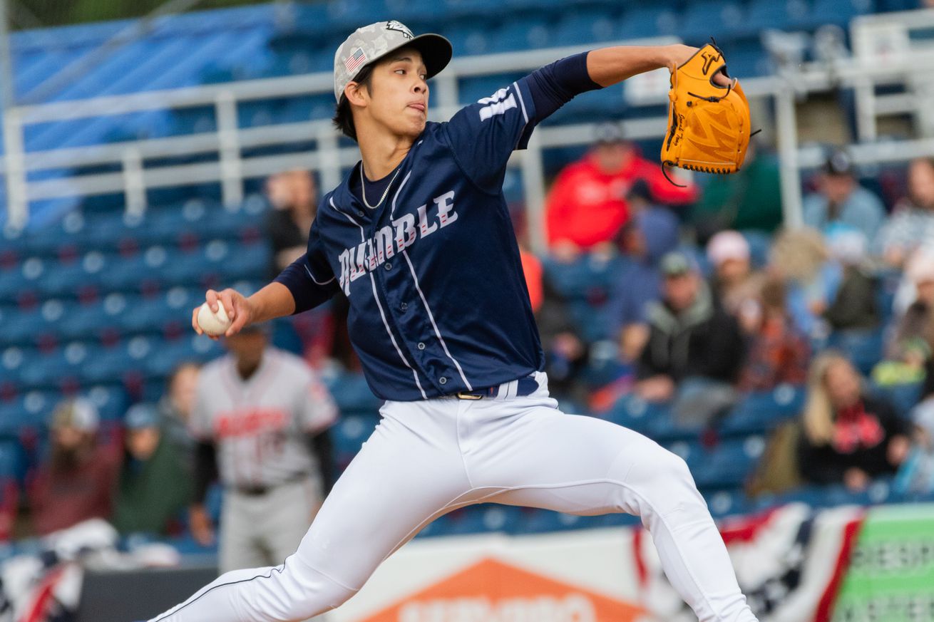 Jonah Tong throws a pitch in a Rumble Ponies uniform with a navy blue top and white pants.