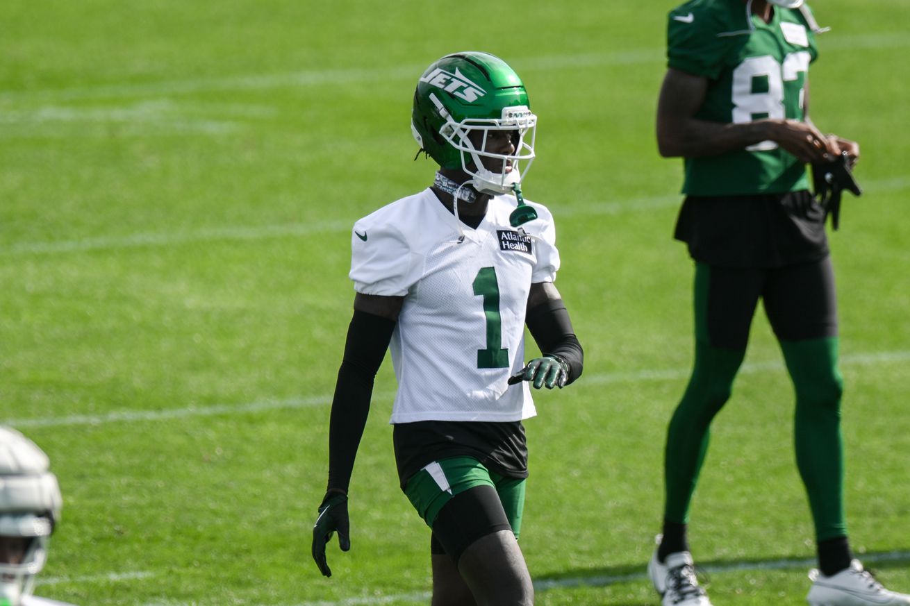 NFL: New York Jets Training Camp