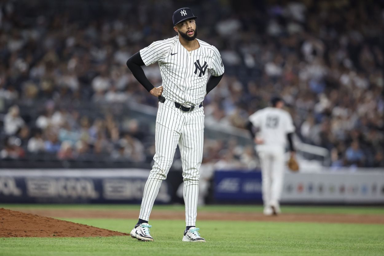 MLB: Tampa Bay Rays at New York Yankees, devin williams