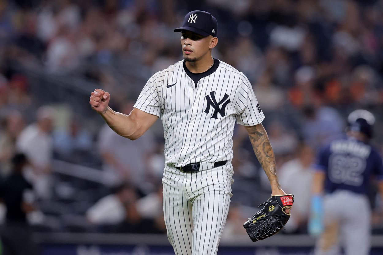 MLB: Tampa Bay Rays at New York Yankees, jonathan loaisiga