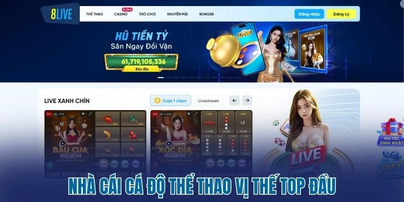 8Live - Nhà Cái Cá Cược Thể Thao Đẳng Cấp Chuẩn Quốc Tế 4 Nhà cái cá độ thể thao vị thế top đầu