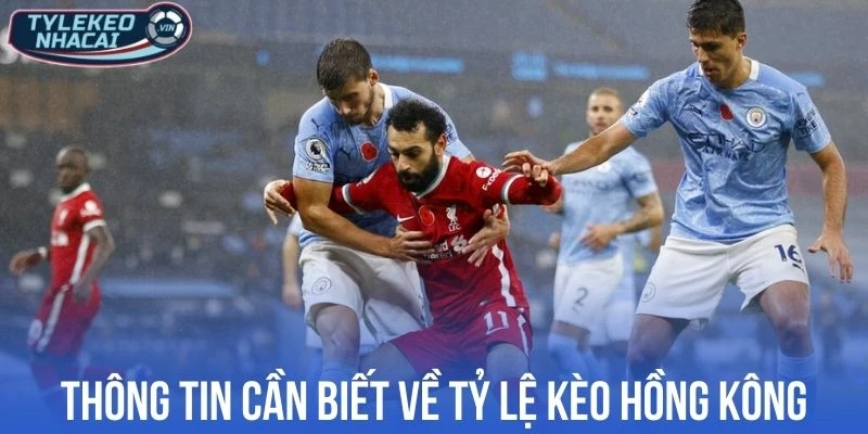 Tỷ Lệ Kèo Hồng Kông - Cách Đọc và Chơi Odds HK Hiệu Quả 16 Thông tin cần biết về tỷ lệ kèo Hồng Kông