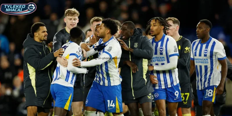 Soi Kèo Nhà Cái Brighton Vs Everton Hôm Nay Ngày 31/01/2026 - Premier League 19 Thông tin, phong độ Brighton vs Everton
