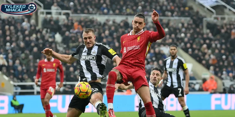 Soi Kèo Nhà Cái Liverpool Vs Newcastle Hôm Nay Ngày 01/12/2026 - Premier League 7 Thông tin, phong độ mới nhất Liverpool vs Newcastle