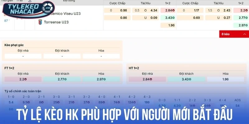 Tỷ Lệ Kèo Hồng Kông - Cách Đọc và Chơi Odds HK Hiệu Quả 18 Tỷ lệ kèo HK phù hợp với người mới bắt đầu